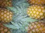 ananas sweet